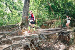 BIB: 
                            <button type="button" onclick="openModal(27721646)" class="btn btn-primary btn-sm float-right btn-popup" data-toggle="modal" data-target=".modal-high-quality">
                        <i class="fas fa-shopping-cart"></i> Add to Cart
                    </button>
                                            <button type="button" onclick="isThisMe(27721646, true)" class="btn btn-success btn-sm float-right btn-popup btn-isme hidden" data-toggle="tooltip" data-placement="bottom" title="นี่คือรูปของคุณใช่ไหม คลิกที่นี่เพื่อเอาเข้าอัลบั้ม">
                        <i class="fas fa-plus"></i> Add to album
                    </button>
                    <button type="button" onclick="isThisMe(27721646, false)" class="btn btn-warning btn-sm float-right btn-popup btn-isnotme hidden">
                        <i class="fas fa-ban"></i> Remove from album
                    </button>